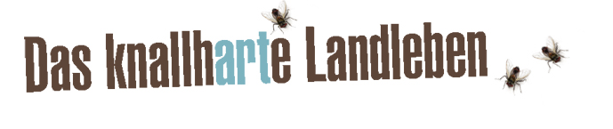 DkhLl_Banner_Art.jpg